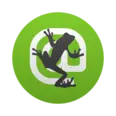 Screaming Frog SEO Spider logo, a dark gray frog climbing a white "@" symbol on a green circular background.